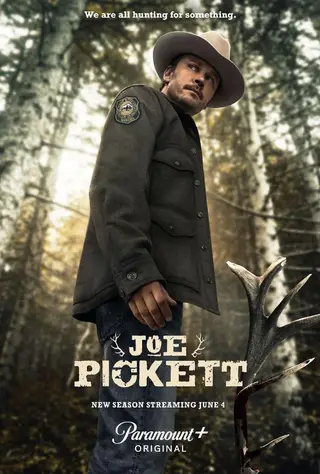 بوستر Joe Pickett