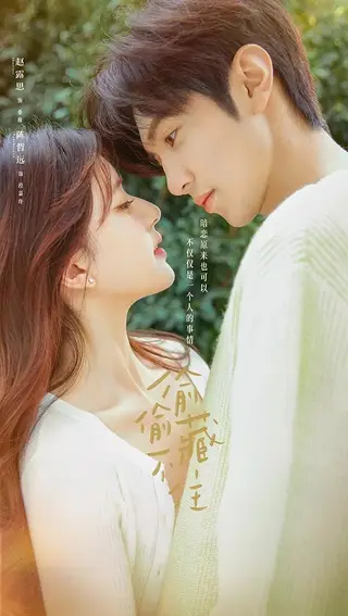بوستر Hidden Love
