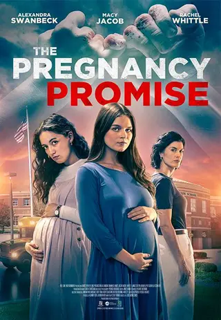 بوستر The Pregnancy Promise