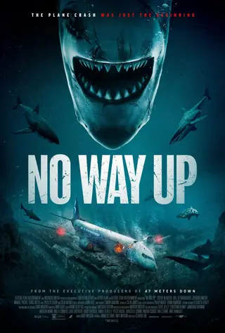 بوستر No Way Up