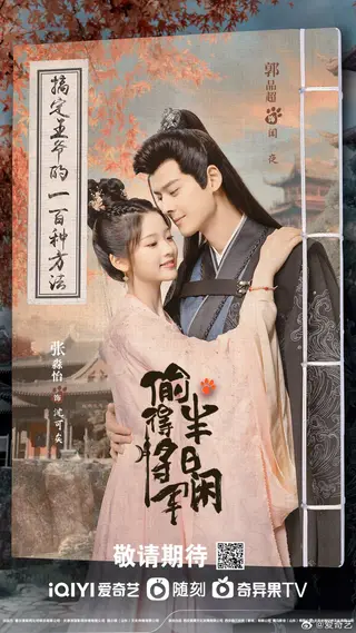 بوستر The Substitute Princess's Love