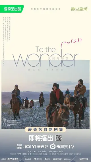 بوستر To the Wonder