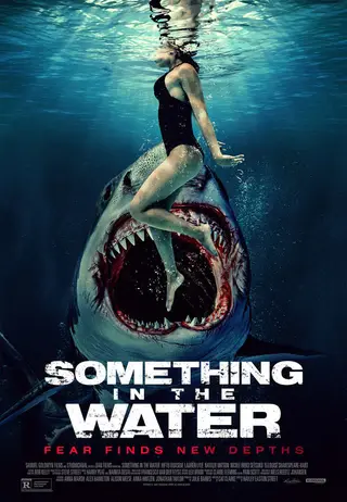 بوستر Something in the Water