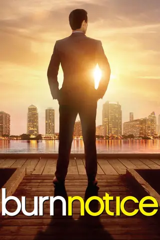 بوستر Burn Notice