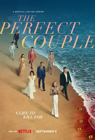 بوستر The Perfect Couple