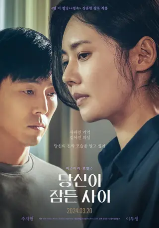 بوستر While You Were Sleeping
