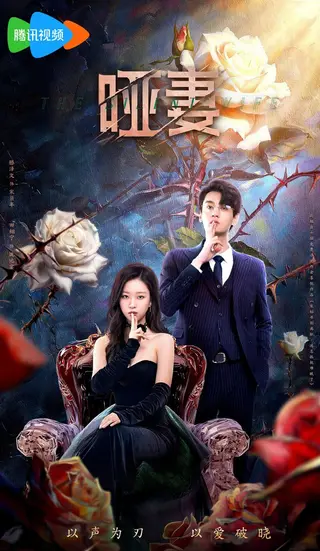 بوستر The Silent Wife