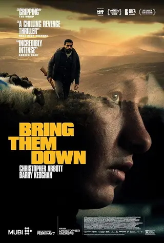 بوستر Bring Them Down