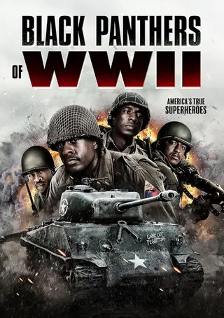بوستر Black Panthers of WWII