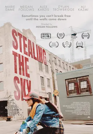 بوستر Stealing the Sky