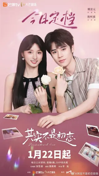 بوستر Predestined Love