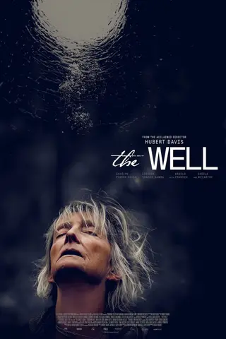 بوستر The Well