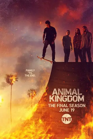 بوستر Animal Kingdom