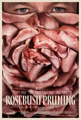 بوستر Rosebush Pruning