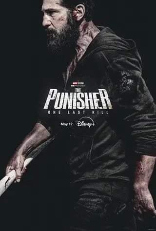 بوستر The Punisher: One Last Kill